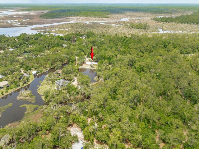 4095 Spring Creek Highway, Crawfordville, FL 32327 - photo 31