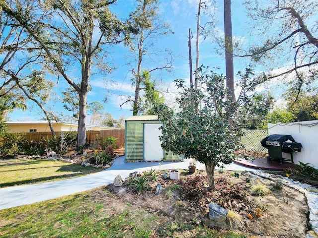 view of yard with a storage shed