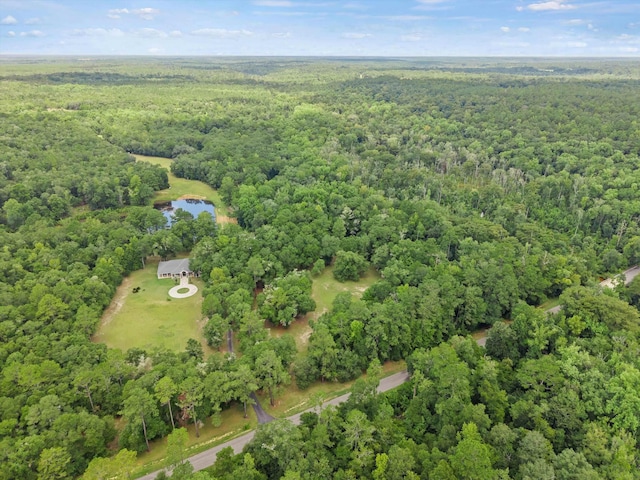 761 Bear Creek Rd, Quincy, FL 32351 - photo 58