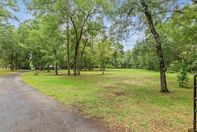 761 Bear Creek Rd, Quincy, FL 32351 - photo 55