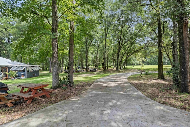 761 Bear Creek Rd, Quincy, FL 32351 - photo 46