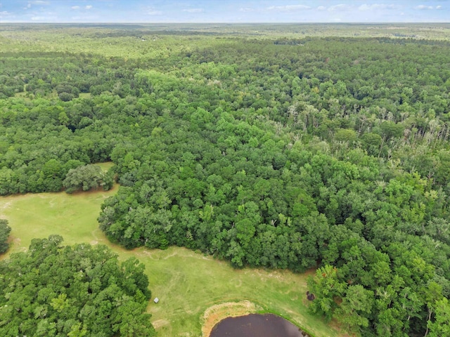 761 Bear Creek Rd, Quincy, FL 32351 - photo 65