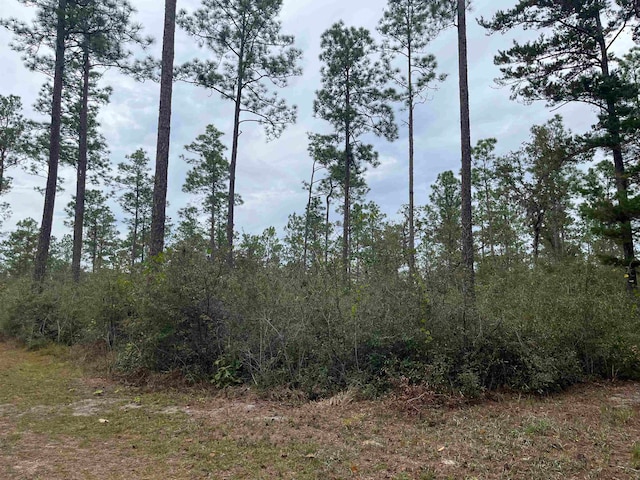 Listing photo 3 for XX Old Shell Point Rd, Crawfordville FL 32327