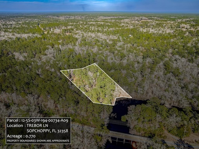 Listing photo 2 for LOT9 Trebor Ln, Sopchoppy FL 32358