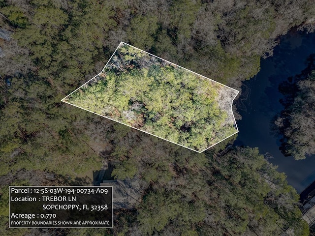 LOT9 Trebor Ln, Sopchoppy FL, 32358 land for sale