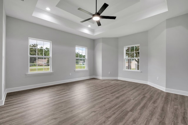 empty room featuring a tray ceiling, plenty of natural light, and dark hardwood / wood-style floors