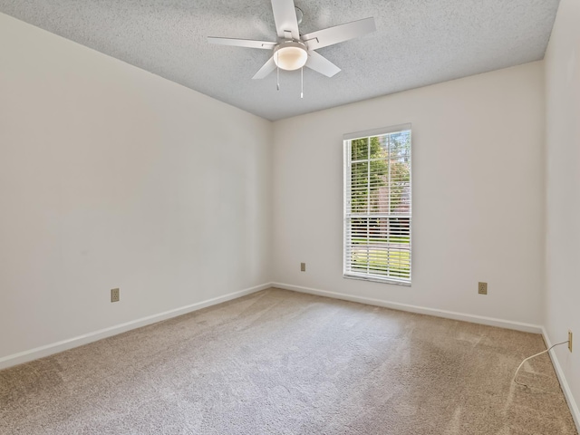 1181 S Lovers Ln, Tallahassee, FL 32317 - photo 22