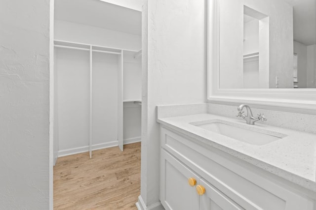 3142 Seattle Slew Ct, Tallahassee, FL 32309 - bathroom with wood finished floors, vanity, and a spacious closet