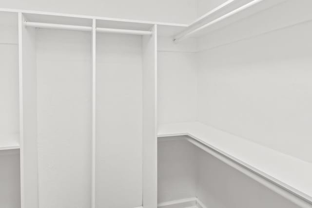 3142 Seattle Slew Ct, Tallahassee, FL 32309 - view of walk in closet