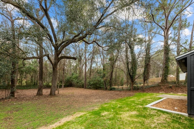 3142 Seattle Slew Ct, Tallahassee, FL 32309 - view of yard