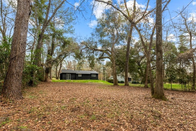 3142 Seattle Slew Ct, Tallahassee, FL 32309 - view of yard
