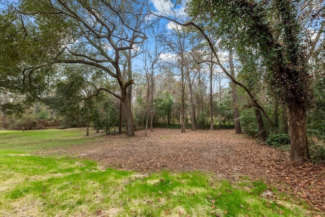 3142 Seattle Slew Ct, Tallahassee, FL 32309 - view of yard with a forest view