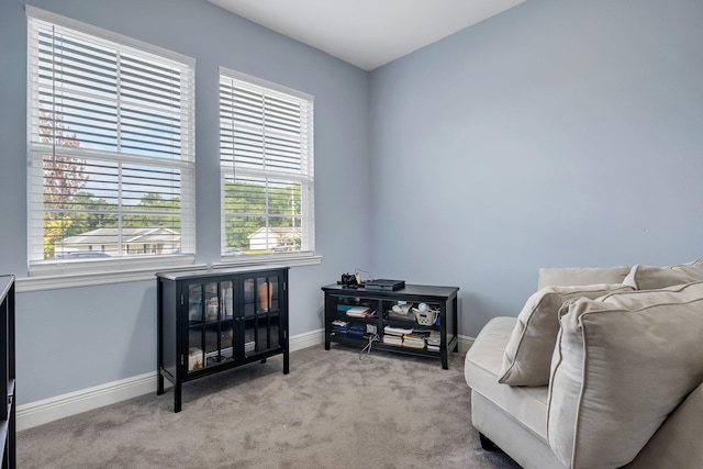 491 Sand Pine Cir, Midway, FL 32343 - photo 12