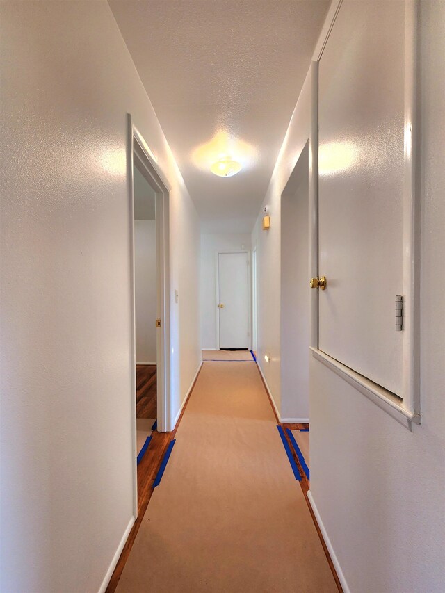 hallway featuring light colored carpet