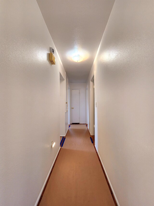 corridor with light colored carpet