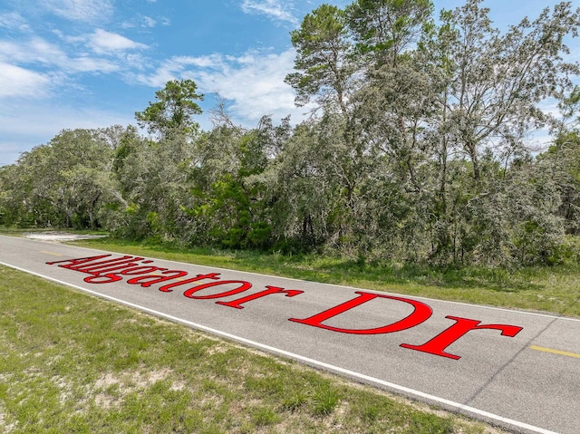LOTS5 Alligator Dr, Alligator Point, FL 32346 - photo 7