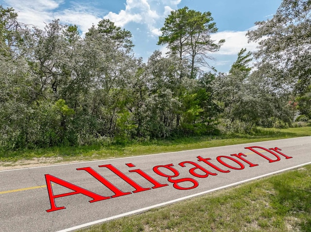 LOTS5 Alligator Dr, Alligator Point, FL 32346 - photo 8