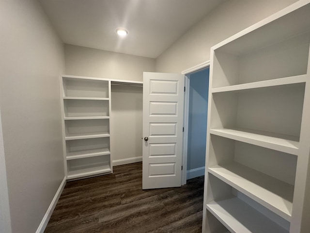 walk in closet with dark wood-style floors