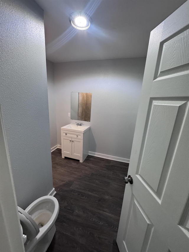 bathroom featuring vanity and wood-type flooring