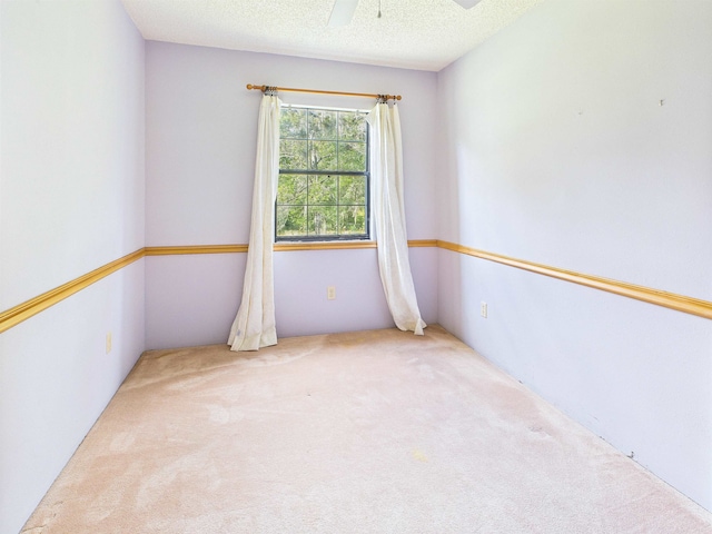 314 SW Wildwood Dr, Mayo, FL 32066 - photo 25