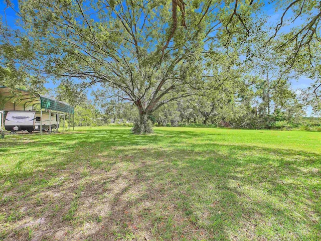 314 SW Wildwood Dr, Mayo, FL 32066 - photo 36