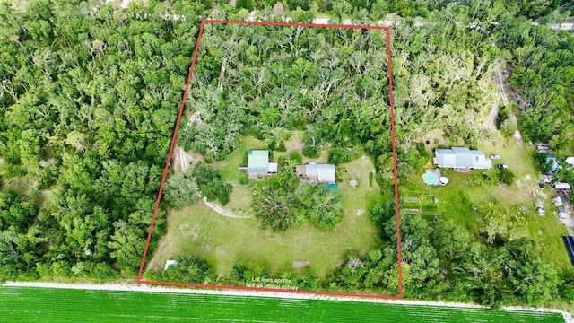 314 SW Wildwood Dr, Mayo, FL 32066 - photo 2