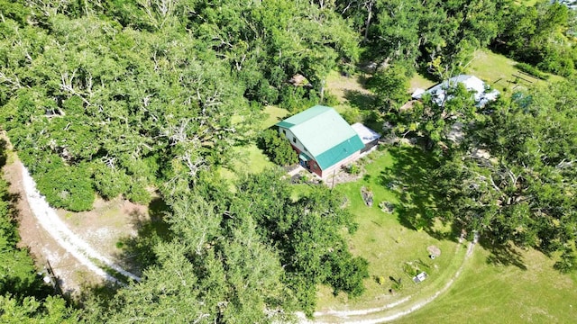 314 SW Wildwood Dr, Mayo, FL 32066 - photo 45