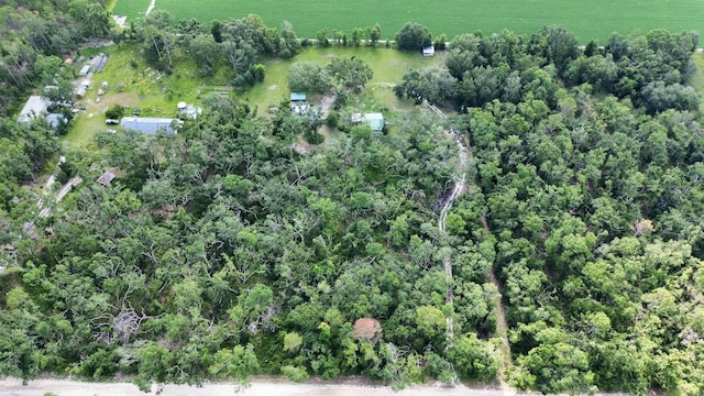 314 SW Wildwood Dr, Mayo, FL 32066 - photo 3