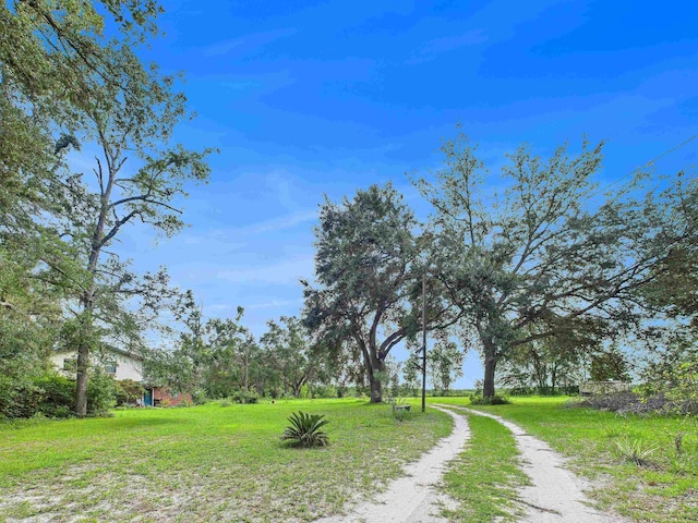 314 SW Wildwood Dr, Mayo, FL 32066 - photo 4