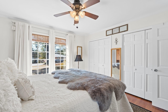 bedroom with multiple closets, ceiling fan, ornamental molding, and hardwood / wood-style floors