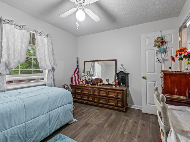 107 Faith Ave, Sopchoppy, FL 32358 - photo 24