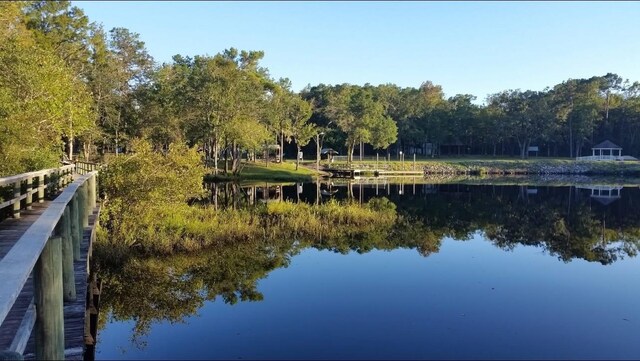 107 Faith Ave, Sopchoppy, FL 32358 - photo 39