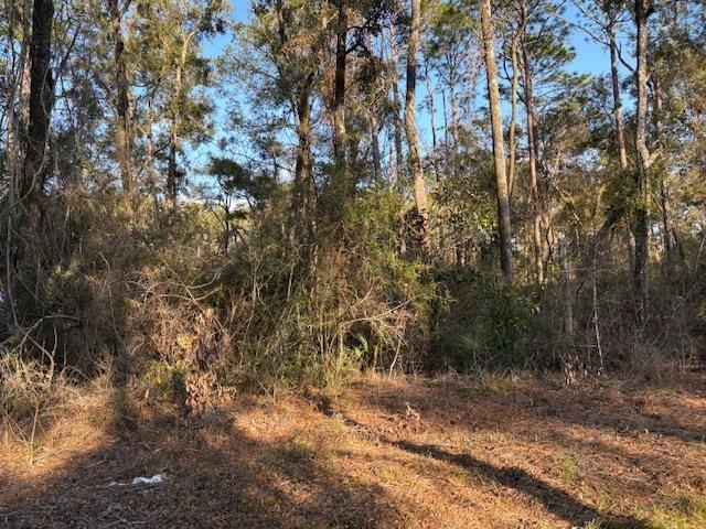 XX Renegade Rd, Crawfordville FL, 32327 land for sale