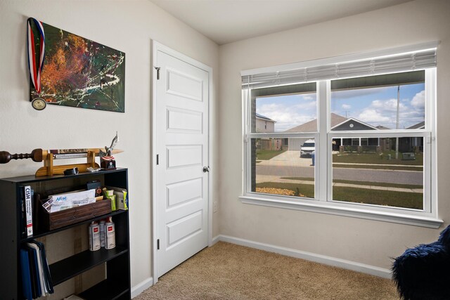 4773 Firefly Ln, Panama City, FL 32404 - photo 24