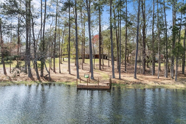 property view of water