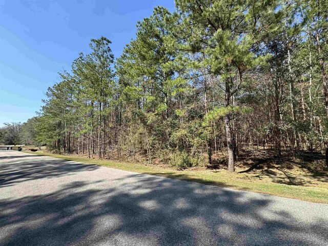 LOT25 Starhawk, Tallahassee, FL 32309 - photo 6