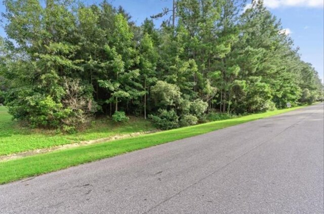 LOT25 Starhawk, Tallahassee, FL 32309 - photo 3