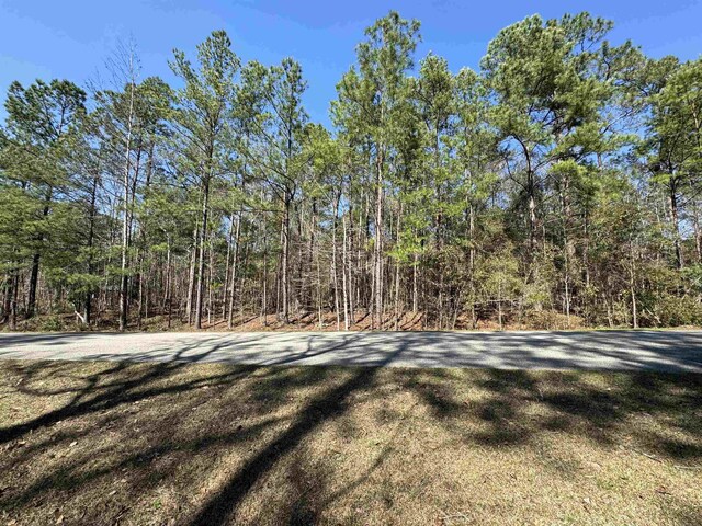 LOT25 Starhawk, Tallahassee, FL 32309 - photo 5
