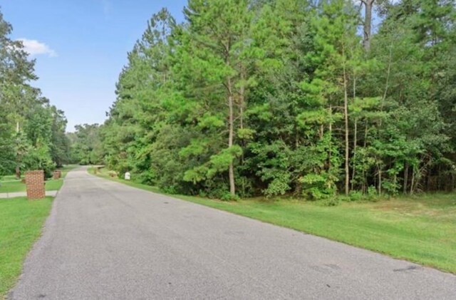 LOT25 Starhawk, Tallahassee, FL 32309 - photo 2