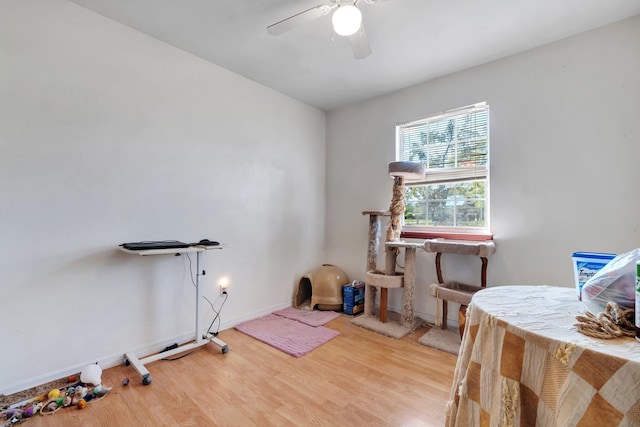 interior space featuring ceiling fan and wood-type flooring