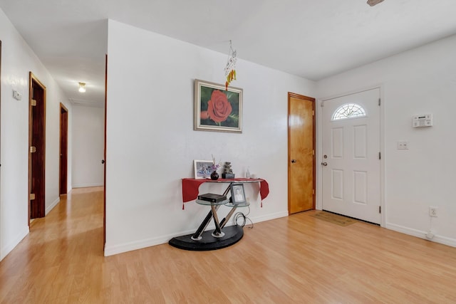 foyer with light wood-type flooring