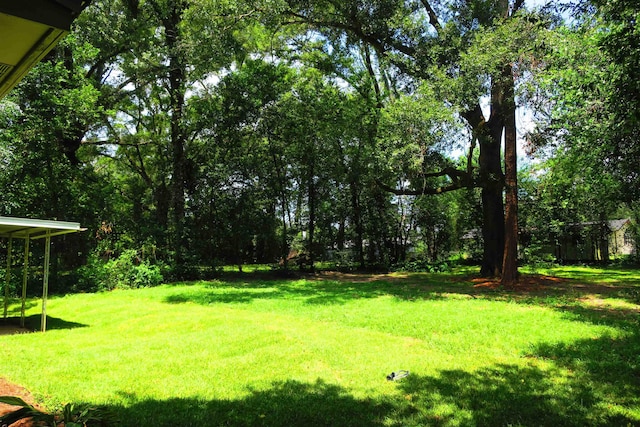 5656 Rustic Dr, Tallahassee, FL 32303 - photo 37