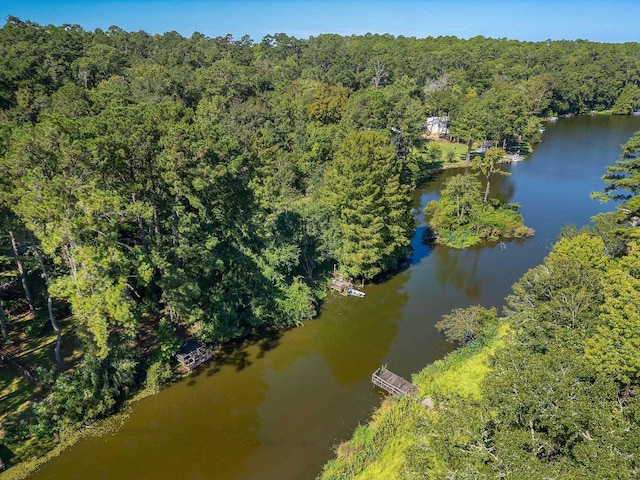 aerial view with a water view and a view of trees