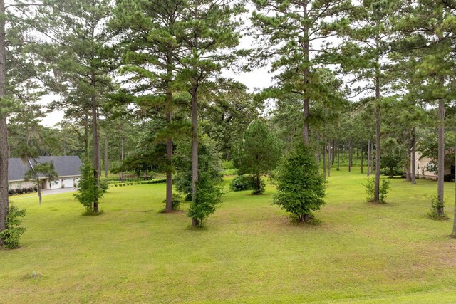 Lake Pisgah Dr, Tallahassee, FL 32309 - photo 1