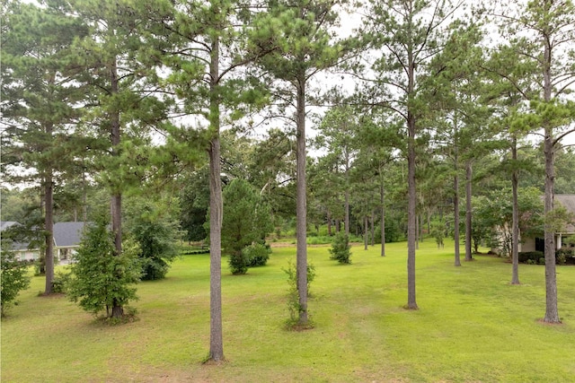 Lake Pisgah Dr, Tallahassee, FL 32309 - photo 3