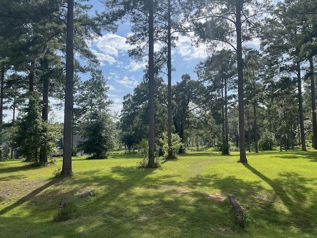 Lake Pisgah Dr, Tallahassee, FL 32309 - photo 4
