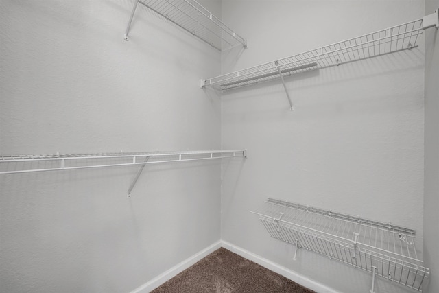 2801 Chancellorsville Dr Unit 1218, Tallahassee, FL 32312 - walk in closet featuring dark colored carpet
