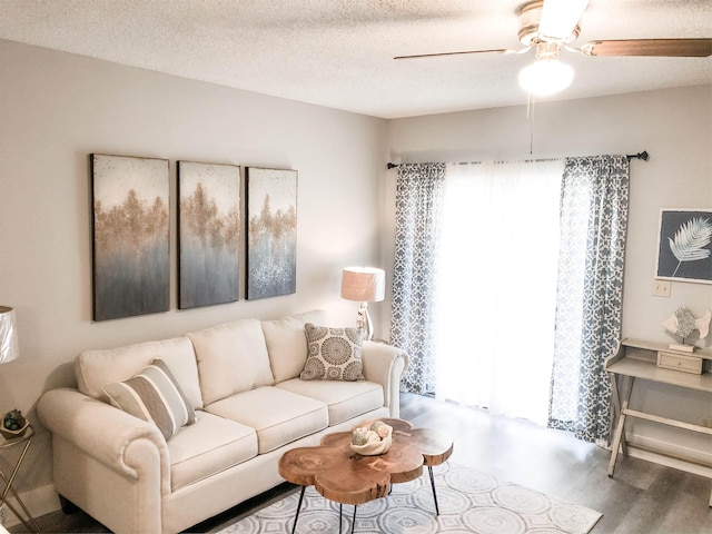 living room with wood-type flooring and a textured ceiling