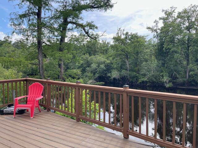 84 N Easy St, Sopchoppy, FL 32358 - photo 13