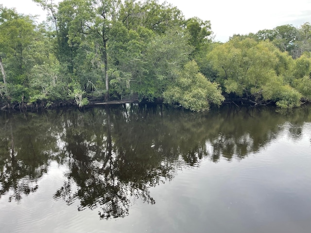 84 N Easy St, Sopchoppy, FL 32358 - photo 14